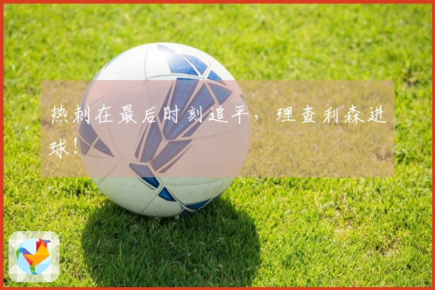 热刺在最后时刻追平，理查利森进球！